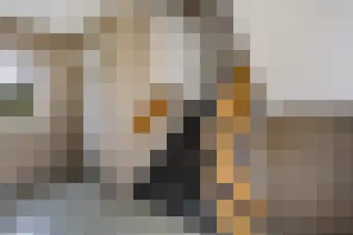Jacob Boekestraat 77 Nieuw-Vennep thumbnail 8