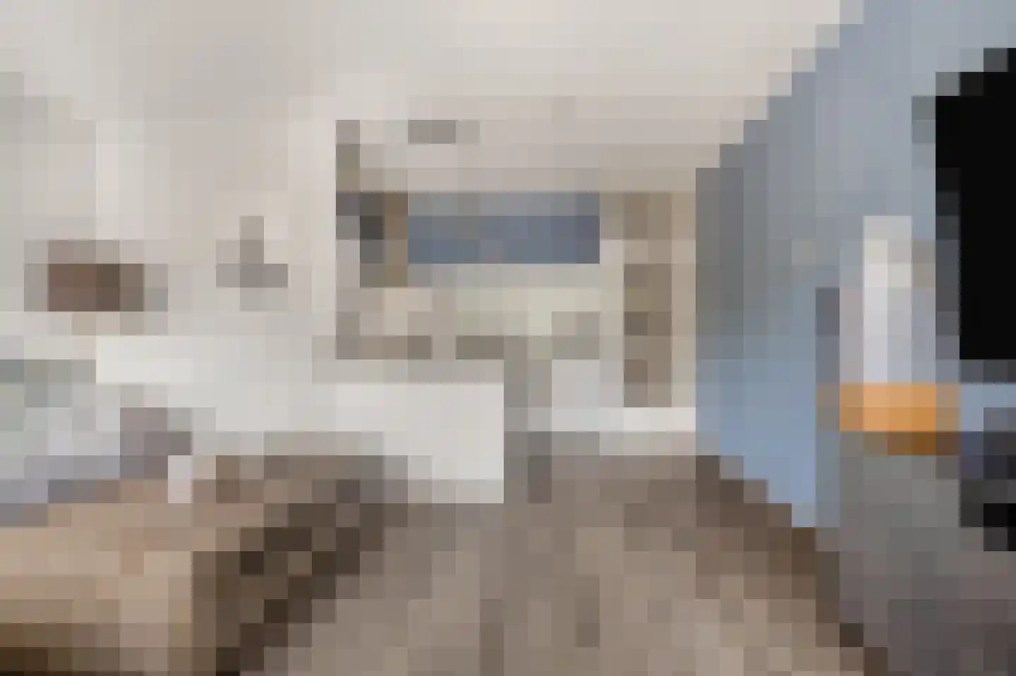 Jacob Boekestraat 9 Nieuw-Vennep thumbnail 6