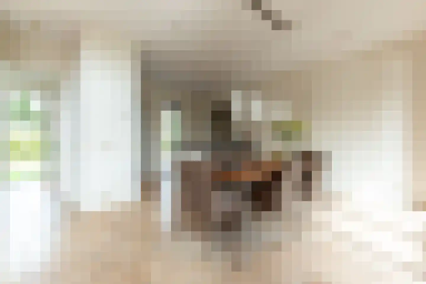 Jacob Bontiusplaats 6 Amsterdam thumbnail 8