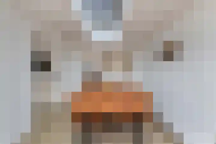 Jacob Bruintjesstraat 27 Kraggenburg thumbnail 25