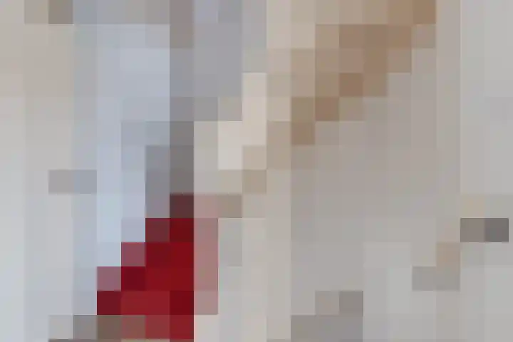 Jacob Bruintjesstraat 27 Kraggenburg thumbnail 36