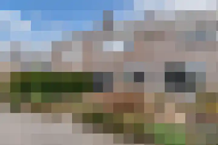 Jacob Bruintjesstraat 27 Kraggenburg thumbnail 9