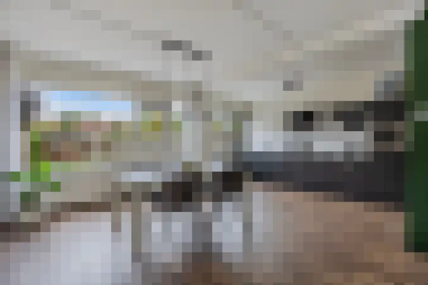 Jacob Bruintjesstraat 67 Kraggenburg thumbnail 24