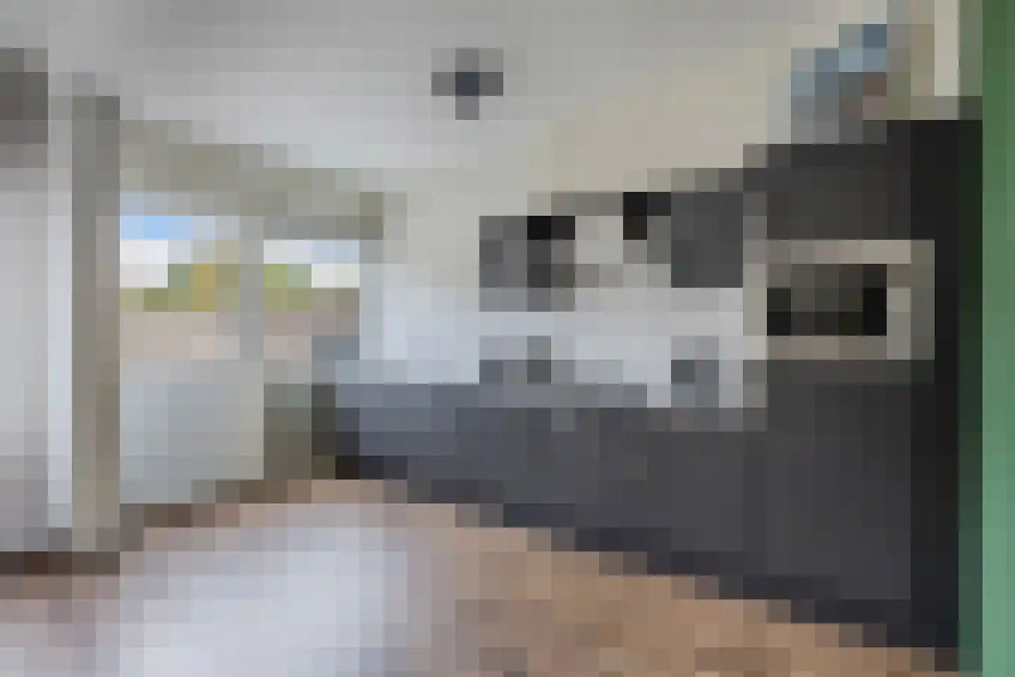 Jacob Bruintjesstraat 67 Kraggenburg thumbnail 31