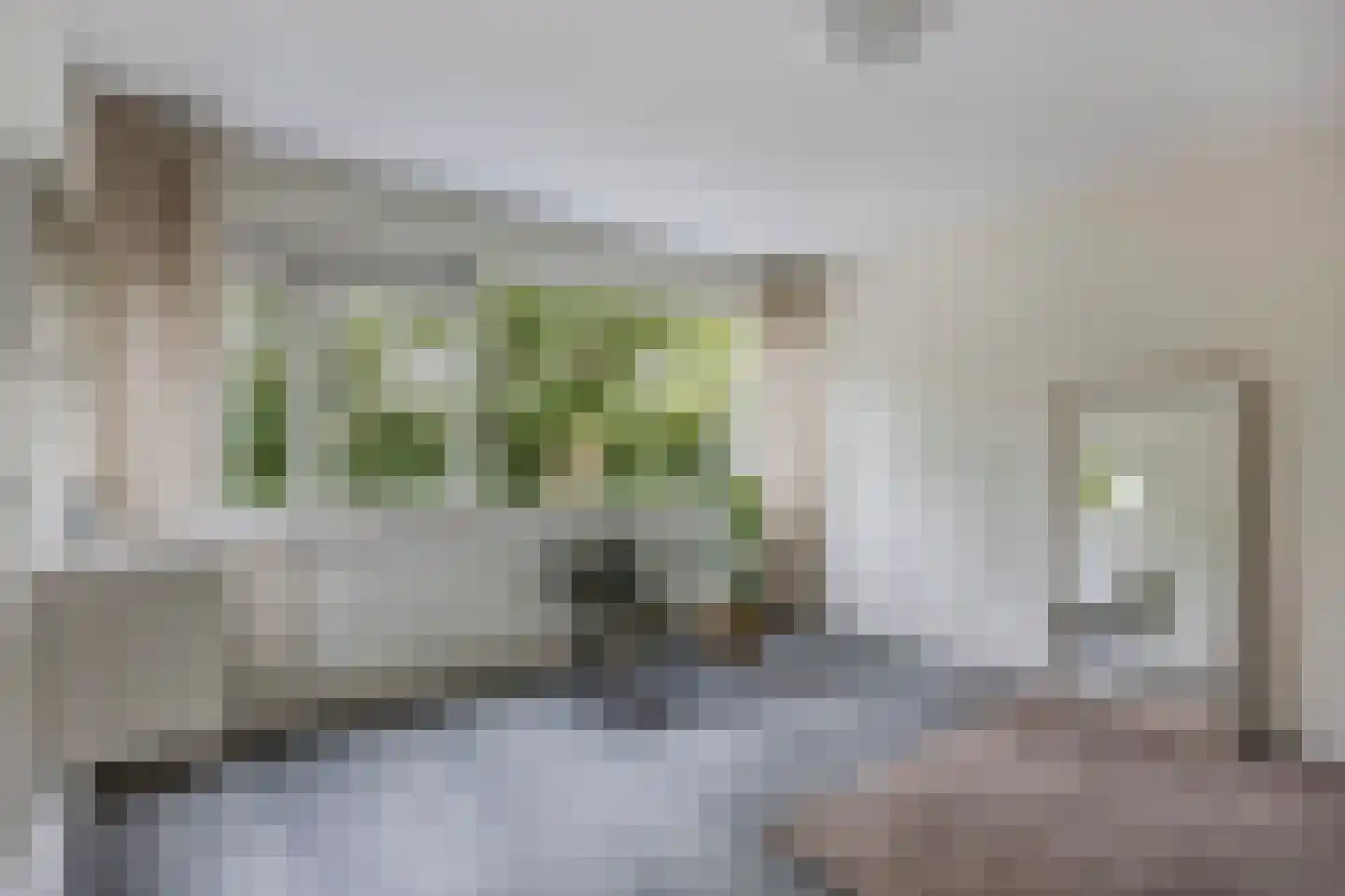 Jacob Bruintjesstraat 67 Kraggenburg thumbnail 37
