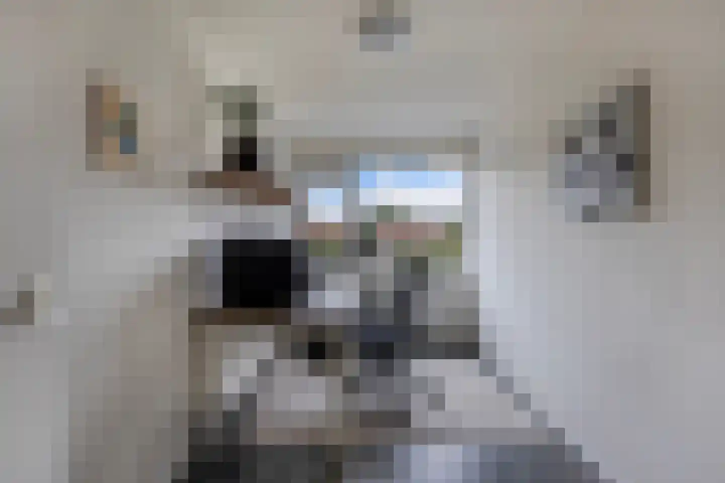 Jacob Bruintjesstraat 67 Kraggenburg thumbnail 39