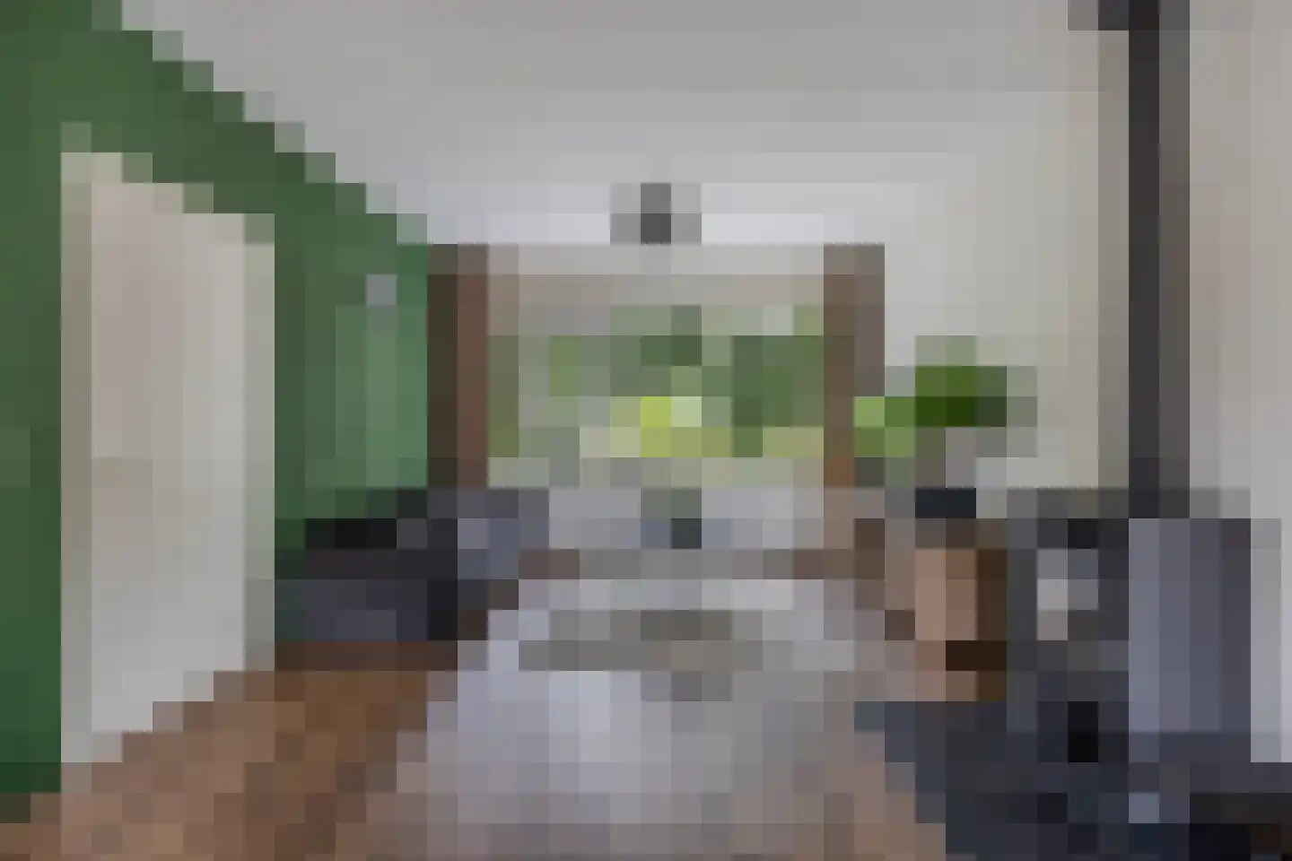 Jacob Bruintjesstraat 67 Kraggenburg thumbnail 4