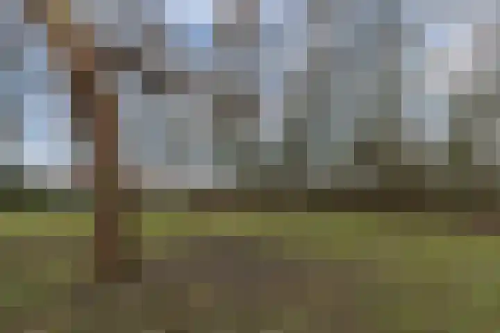 Jacob Bruintjesstraat 71 Kraggenburg thumbnail 11