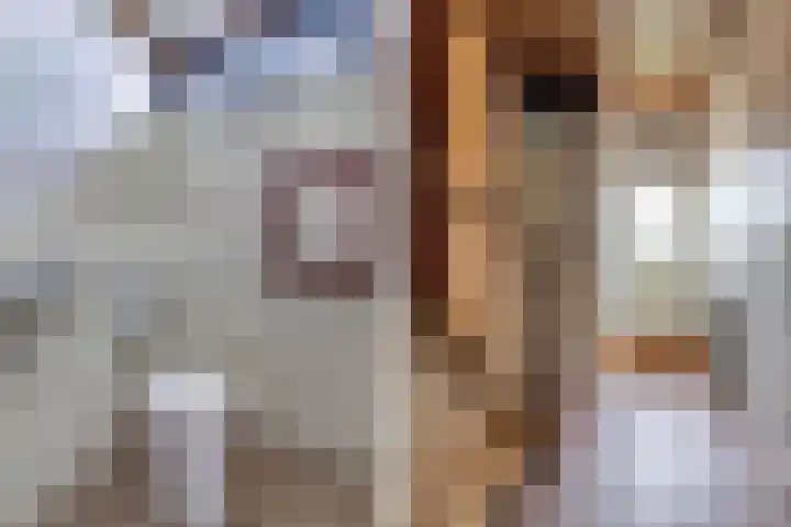 Jacob Bruintjesstraat 71 Kraggenburg thumbnail 16