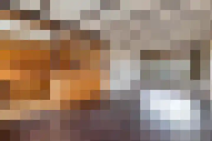 Jacob Bruintjesstraat 71 Kraggenburg thumbnail 19