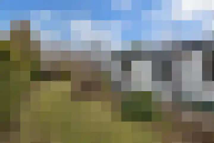 Jacob Bruintjesstraat 71 Kraggenburg thumbnail 28