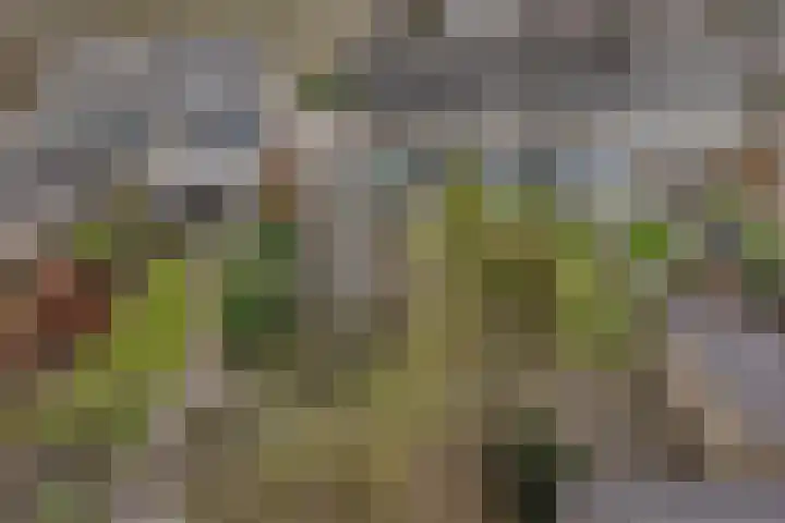 Jacob Bruintjesstraat 71 Kraggenburg thumbnail 37
