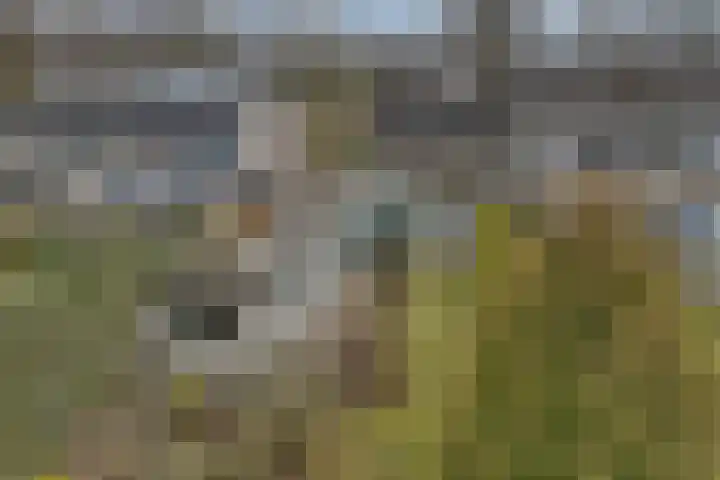 Jacob Bruintjesstraat 71 Kraggenburg thumbnail 38