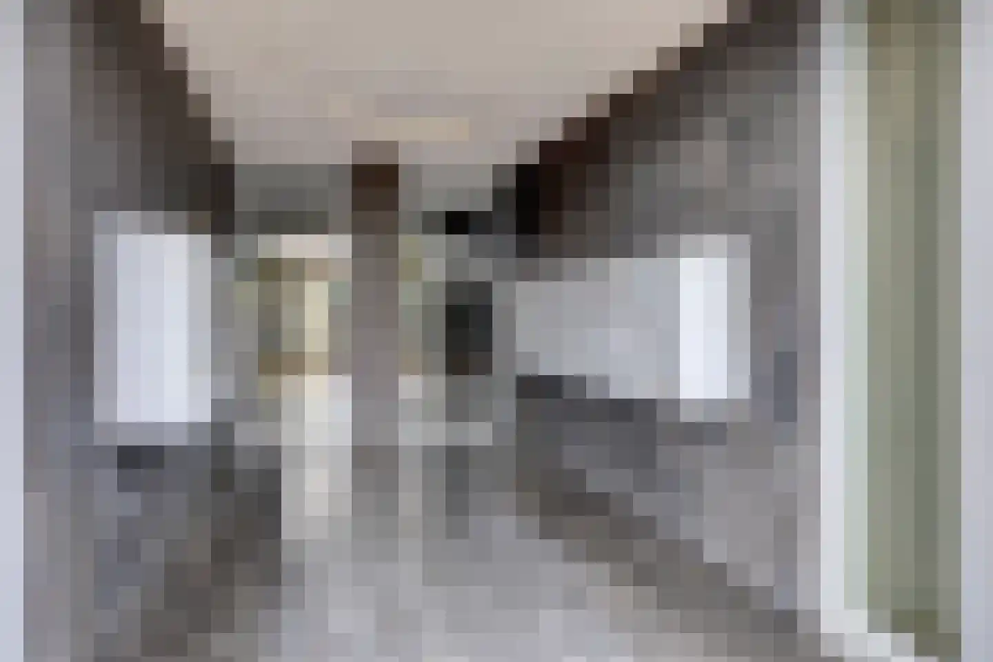 Jacob Burggraafstraat 114 Amsterdam thumbnail 23