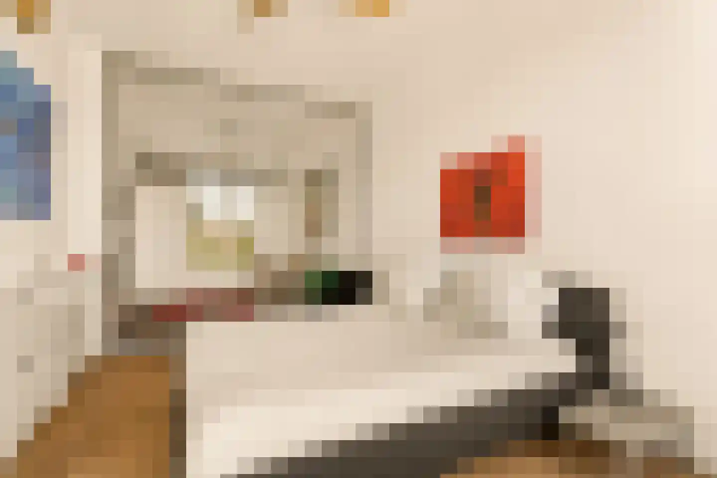 Jacob Burggraafstraat 176 Amsterdam thumbnail 21