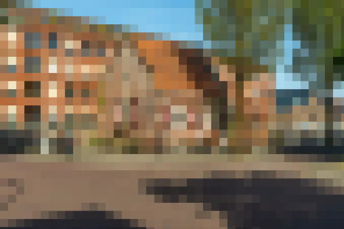 Jacob Burggraafstraat 176 Amsterdam thumbnail 43
