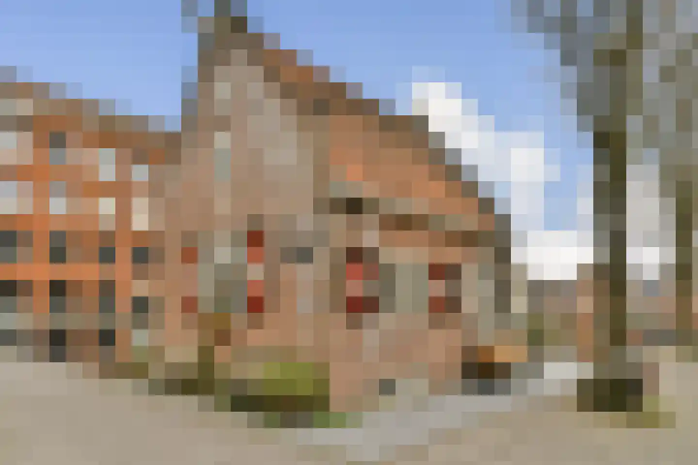 Jacob Burggraafstraat 214 Amsterdam thumbnail 22