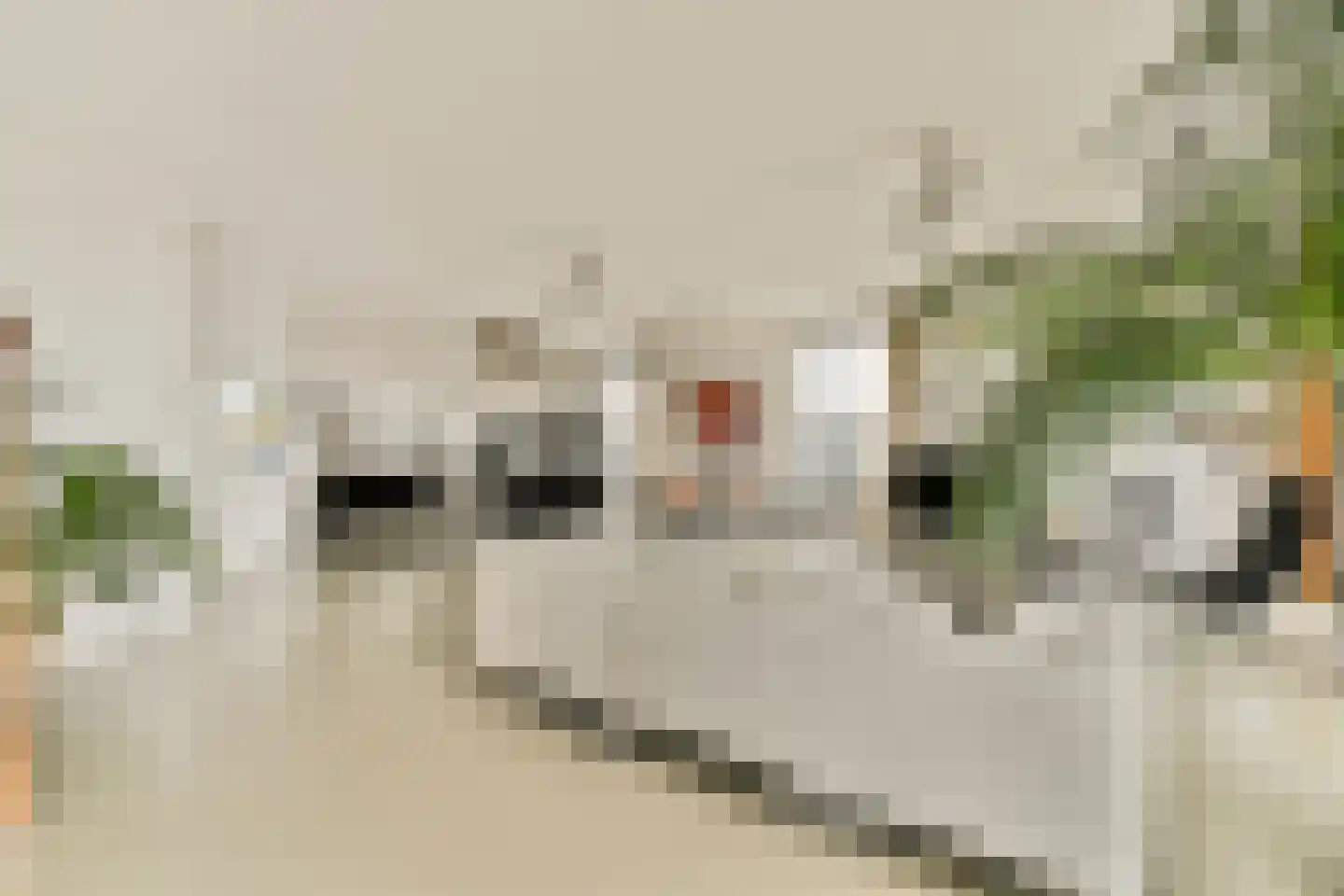 Jacob Burggraafstraat 214 Amsterdam thumbnail 5