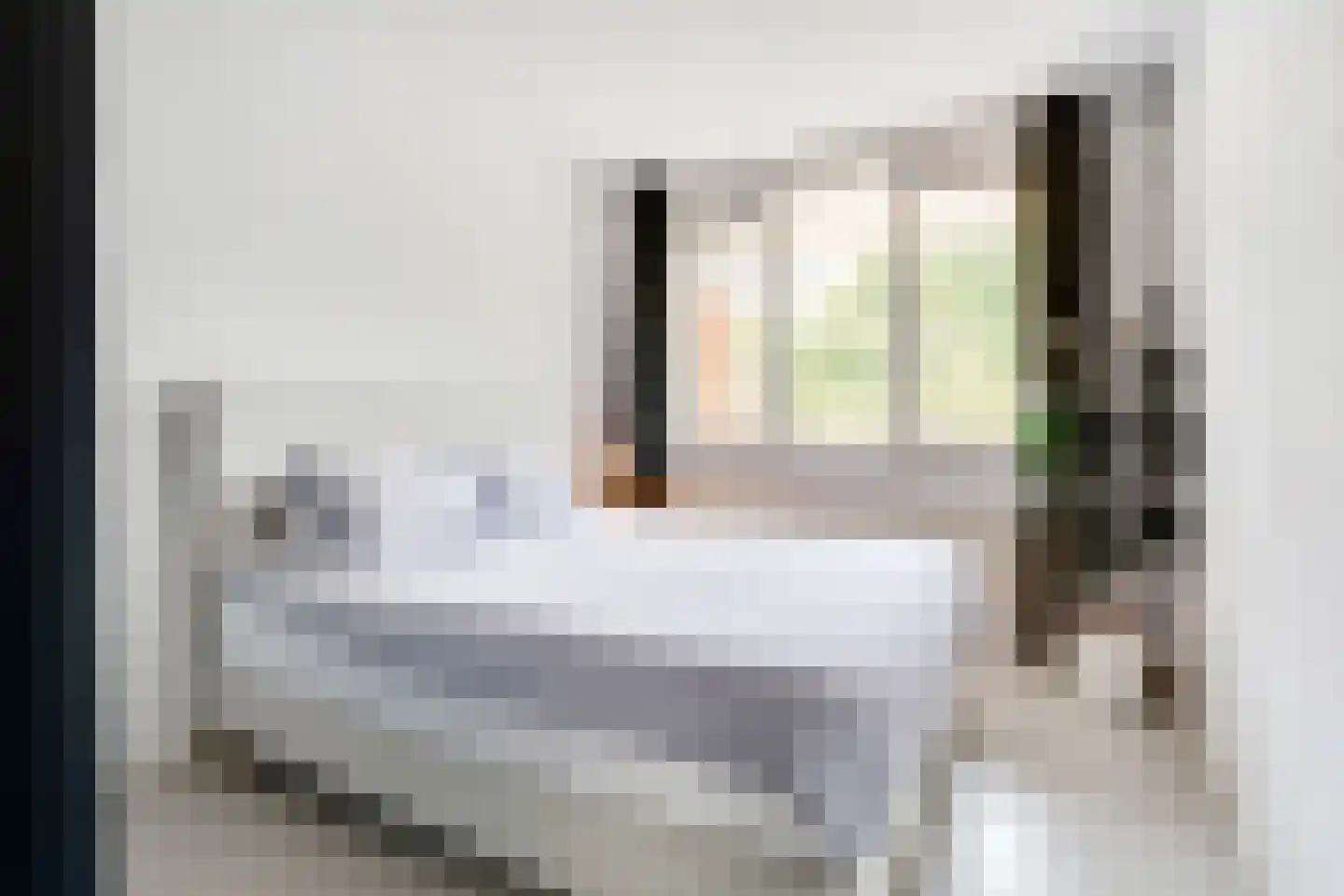 Jacob Burggraafstraat 22 Amsterdam thumbnail 27