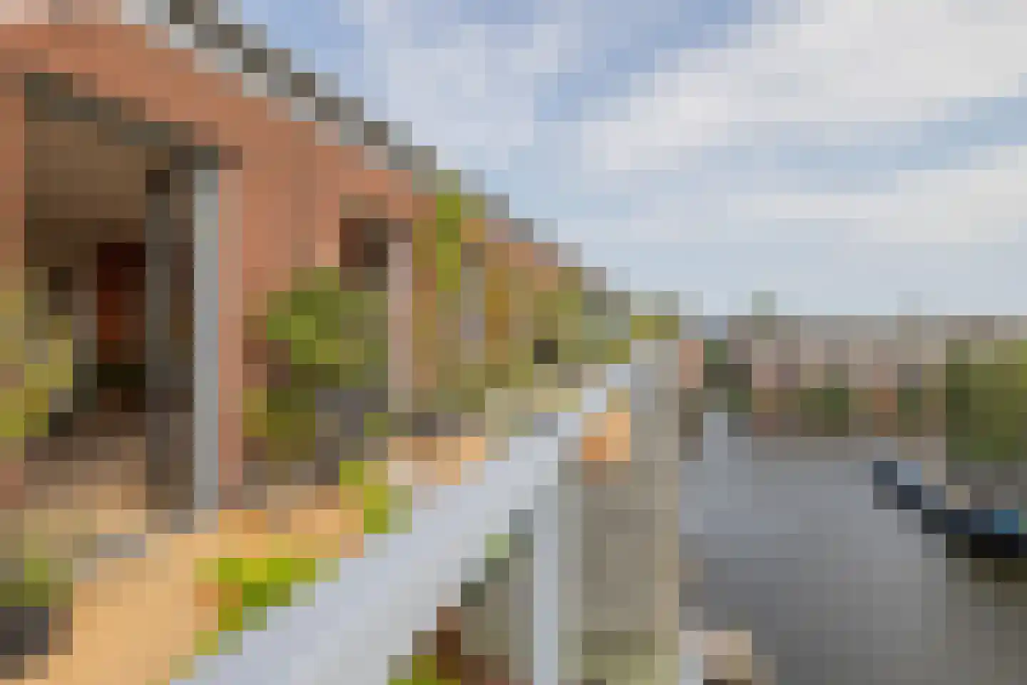 Jacob Burggraafstraat 220 Amsterdam thumbnail 4
