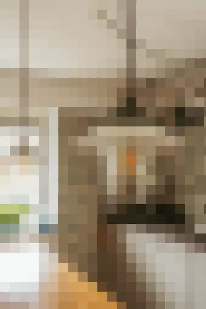 Jacob Burggraafstraat 3 Amsterdam thumbnail 14