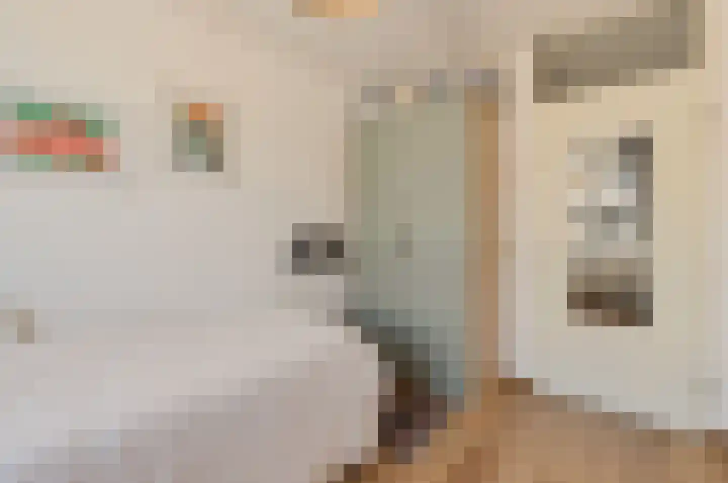 Jacob Burggraafstraat 42 Amsterdam thumbnail 16