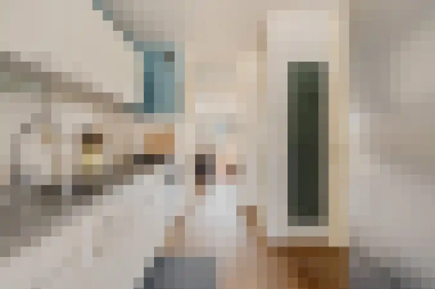 Jacob Burggraafstraat 42 Amsterdam thumbnail 9