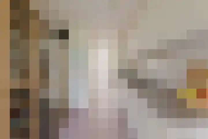 Jacob Burggraafstraat 47 Amsterdam thumbnail 11