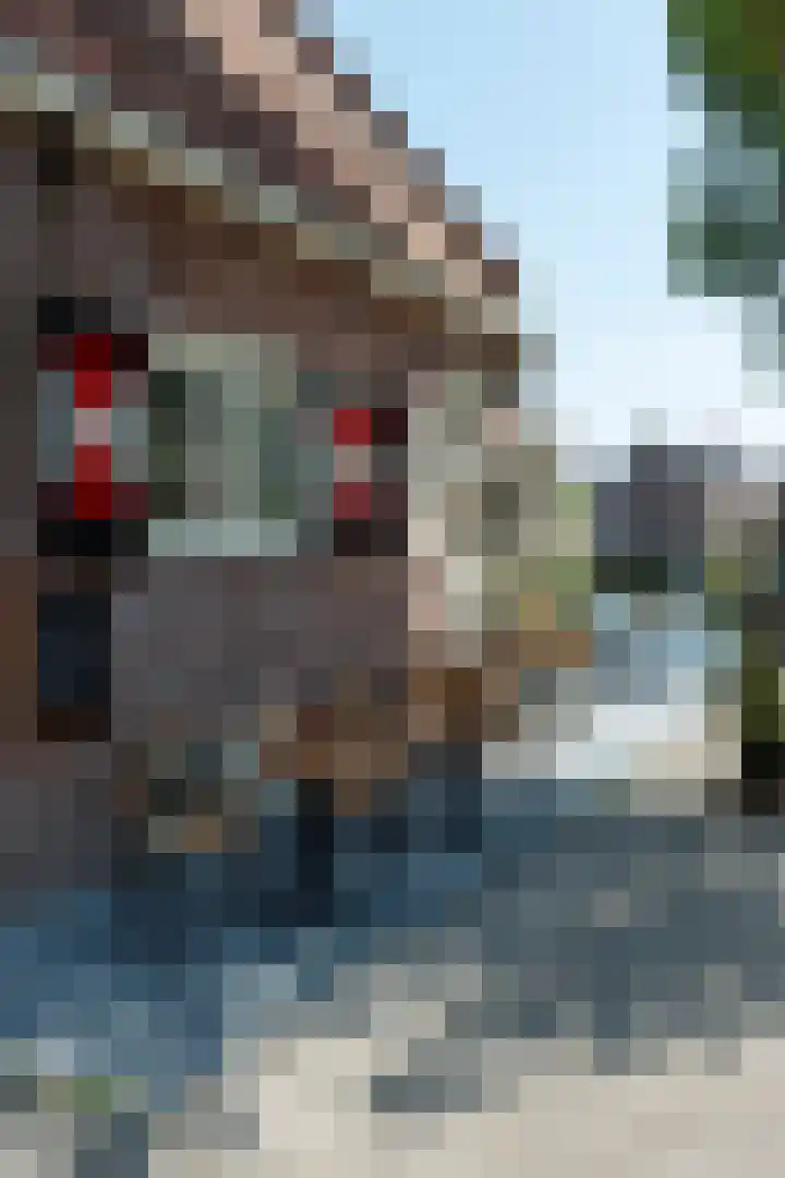 Jacob Burggraafstraat 47 Amsterdam thumbnail 23