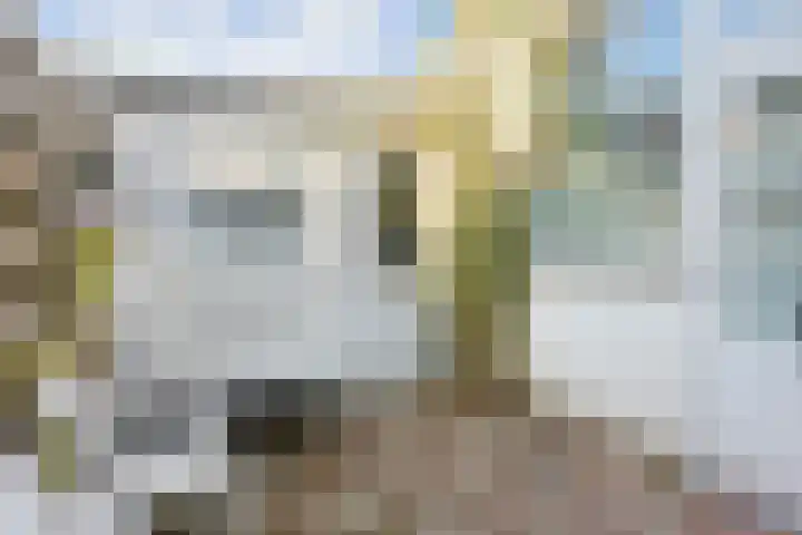 Jacob Cabeliaustraat 4 Utrecht thumbnail 15