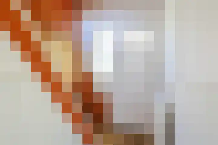 Jacob Cabeliaustraat 4 Utrecht thumbnail 20