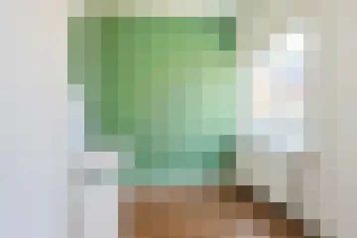 Jacob Cabeliaustraat 4 Utrecht thumbnail 25