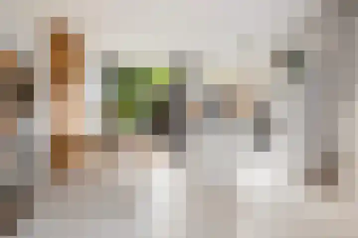 Jacob Cabeliaustraat 7 Utrecht thumbnail 13