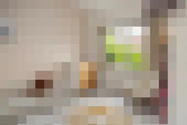 Jacob Cabeliaustraat 7 Utrecht thumbnail 19