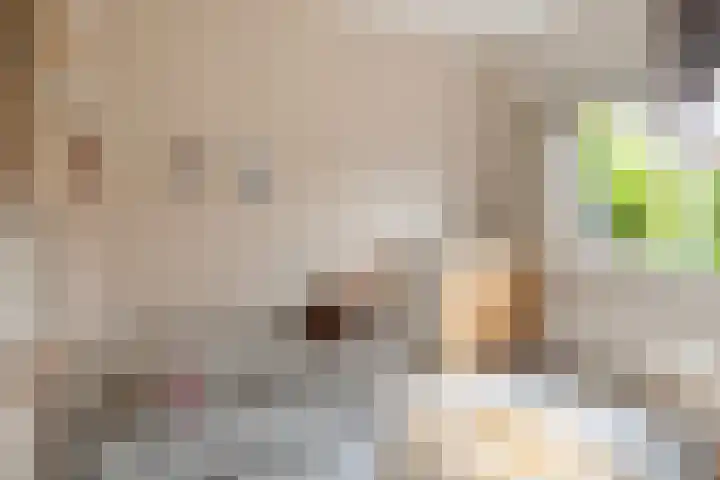 Jacob Cabeliaustraat 7 Utrecht thumbnail 20