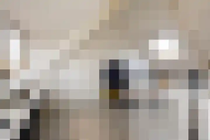 Jacob Cabeliaustraat 7 Utrecht thumbnail 26