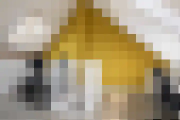 Jacob Cabeliaustraat 7 Utrecht thumbnail 27