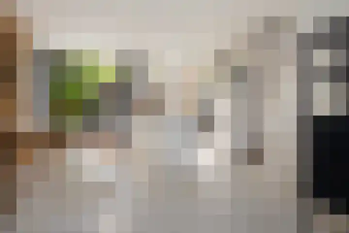Jacob Cabeliaustraat 7 Utrecht thumbnail 7