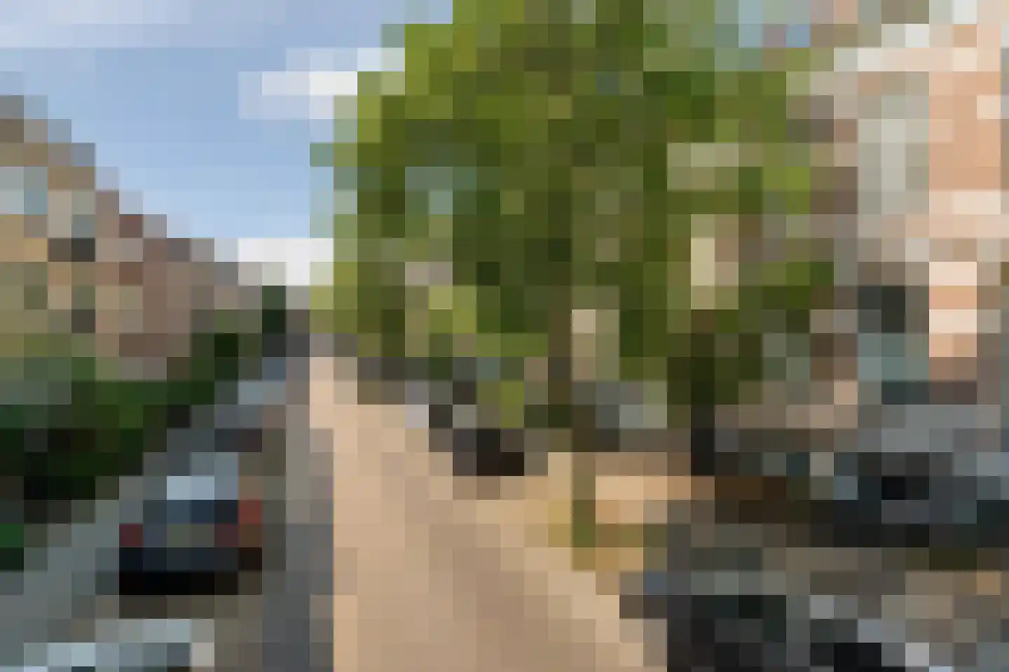 Jacob Canisstraat 32 Nijmegen thumbnail 26