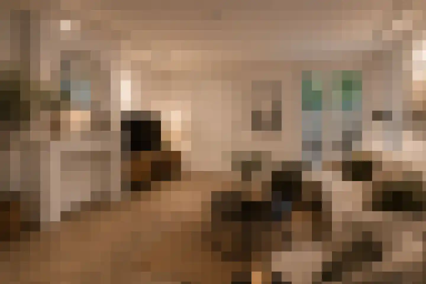 Jacob Canisstraat 32 Nijmegen thumbnail 4
