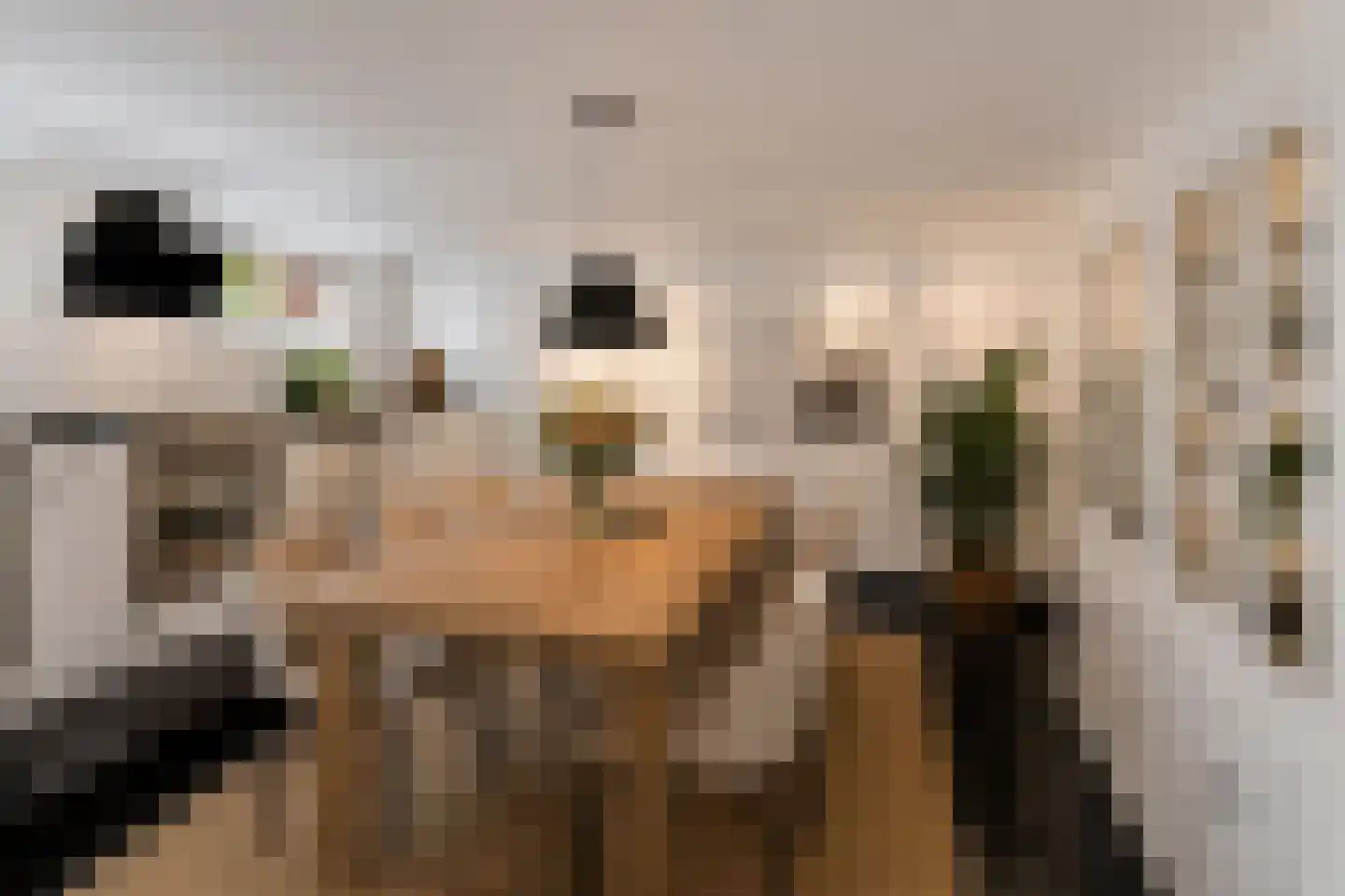 Jacob Canisstraat 32 Nijmegen thumbnail 6