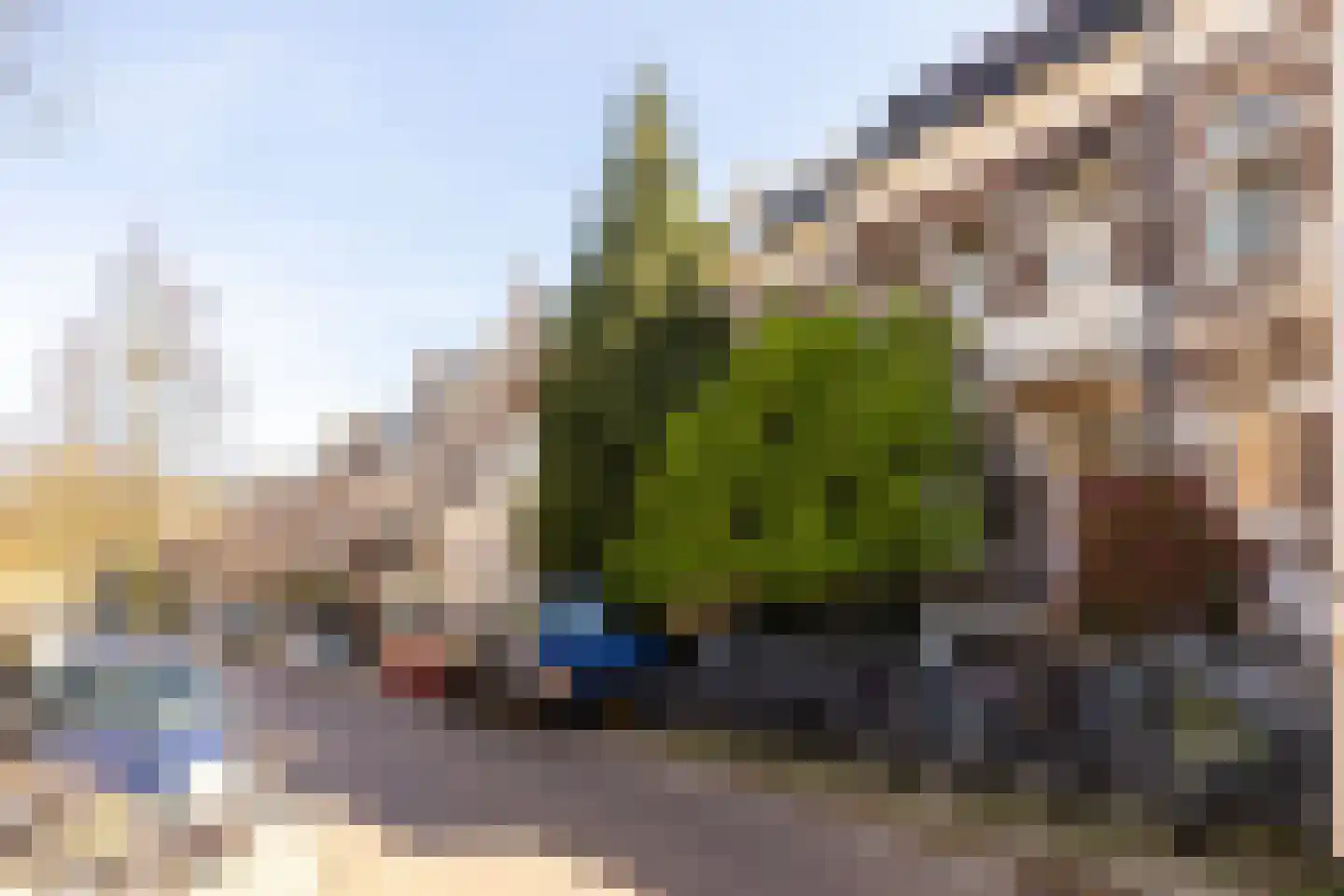 Jacob Canisstraat 79 Nijmegen thumbnail 21
