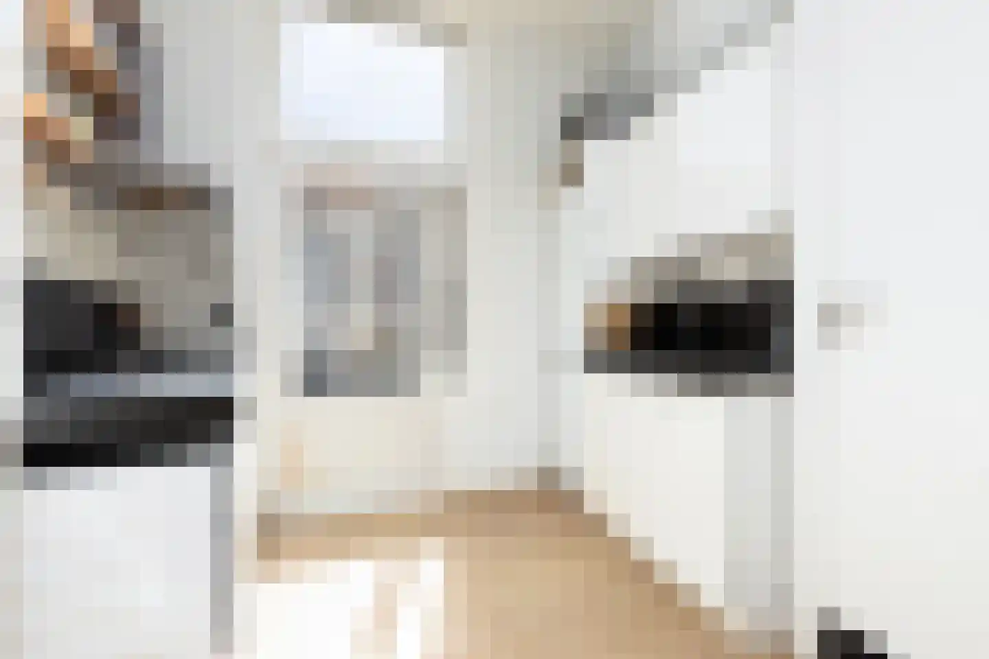 Jacob Canisstraat 79 Nijmegen thumbnail 4