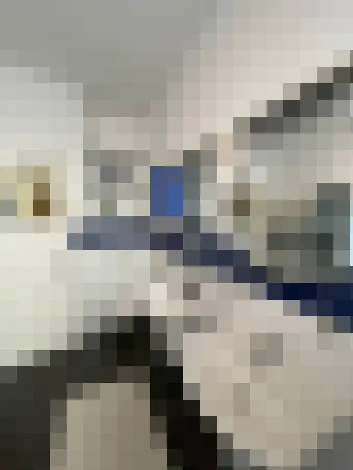 Jacob Canisstraat 89 Nijmegen thumbnail 12