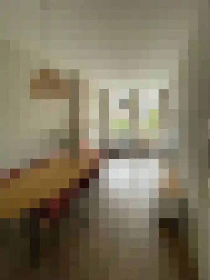 Jacob Canisstraat 89 Nijmegen thumbnail 7