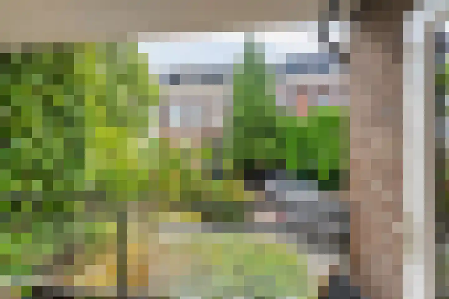 Jacob Canisstraat 98 Nijmegen thumbnail 10