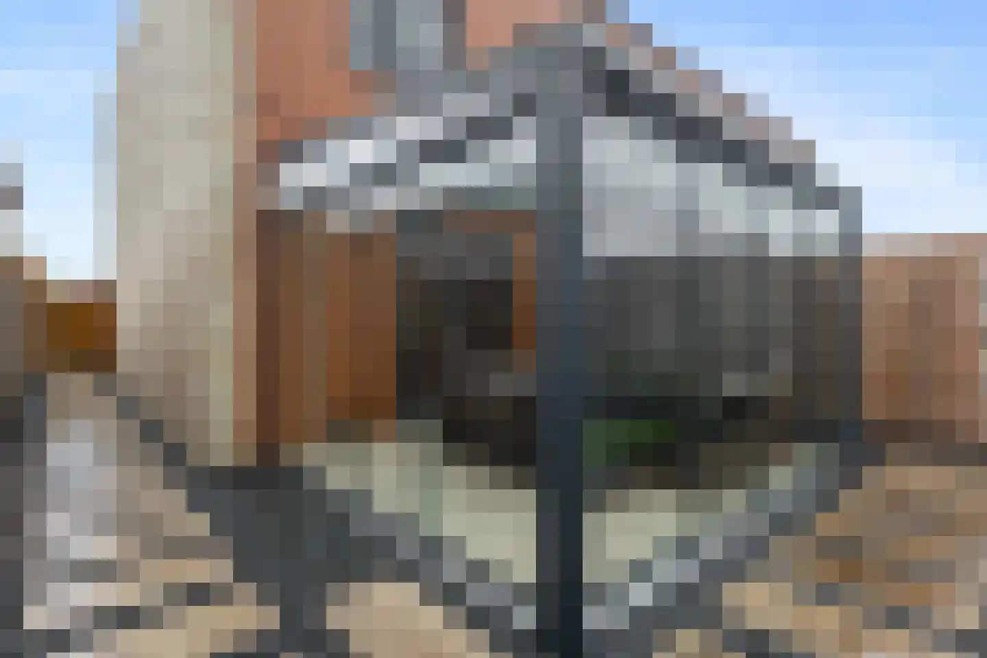 Jacob Catshof 8 Winschoten thumbnail 30