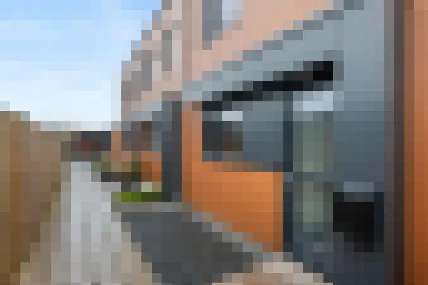 Jacob Catshof 8 Winschoten thumbnail 35
