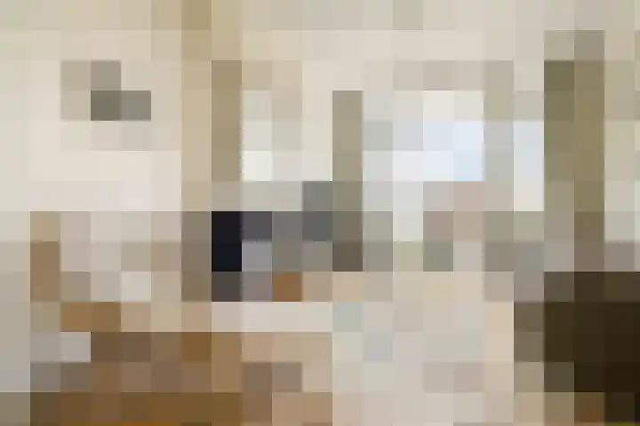 Jacob Catskade 45 4 Amsterdam thumbnail 11