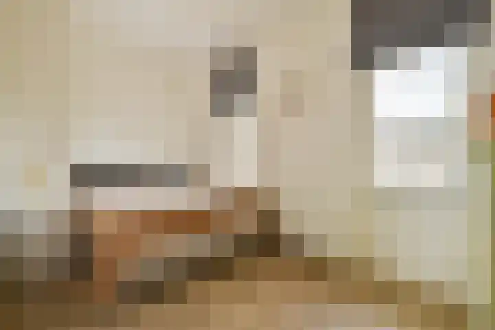 Jacob Catskade 45 4 Amsterdam thumbnail 20